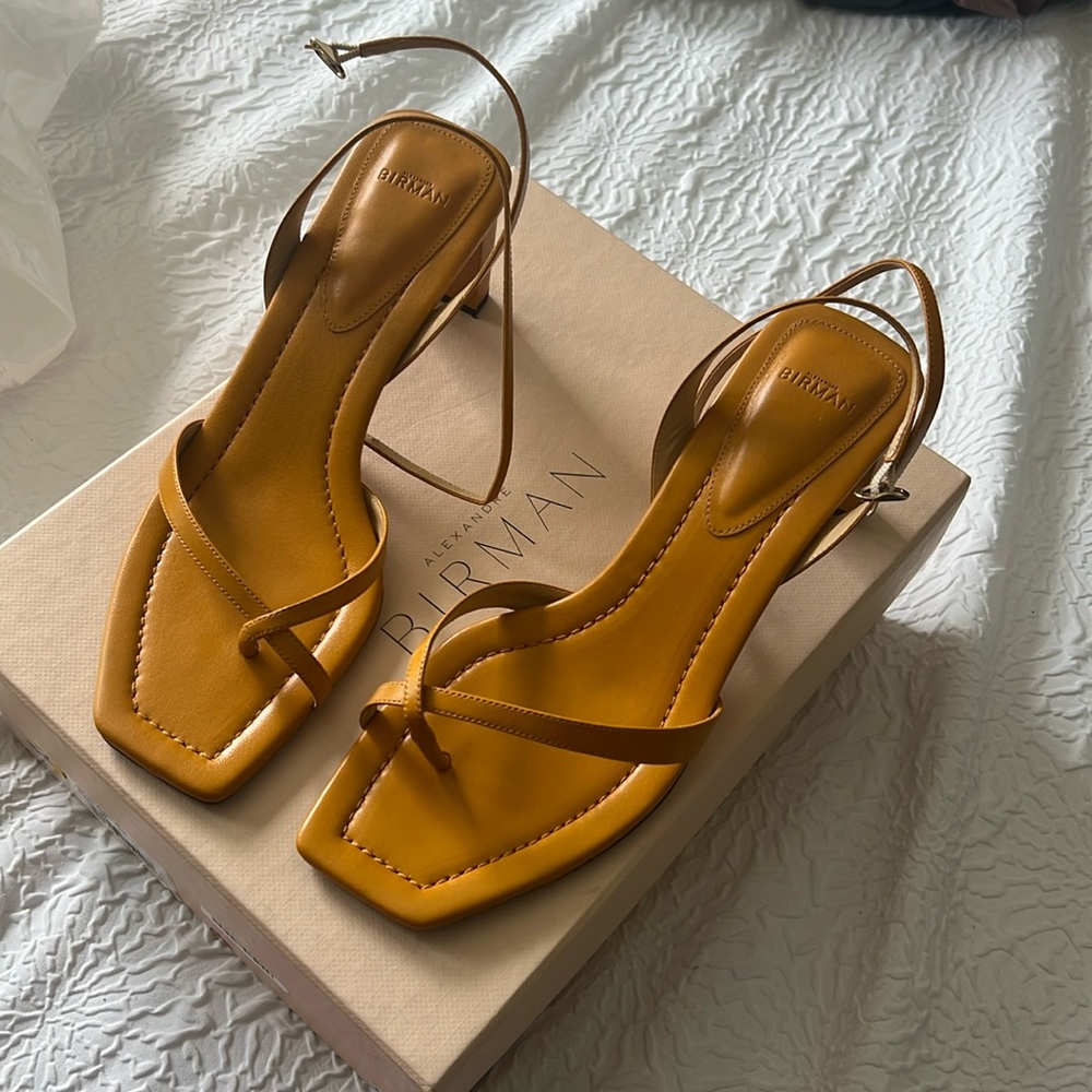 Alexandre Birman Heeled Sandals- used once